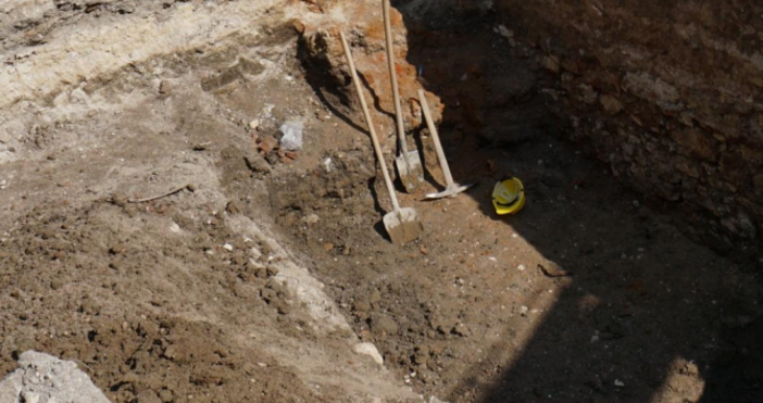 Останки на гигант бяха открити при спасителни разкопки на частен
