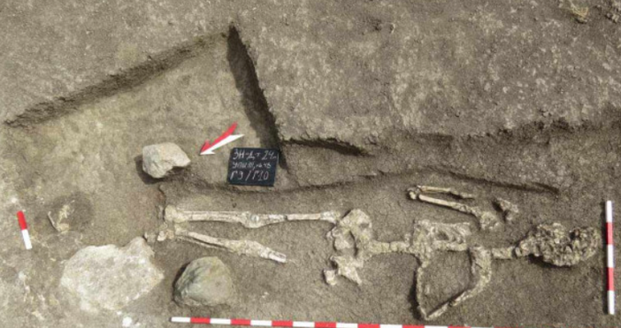 Археолози се натъкнаха на необичайна находка.Останки на гигант бяха открити