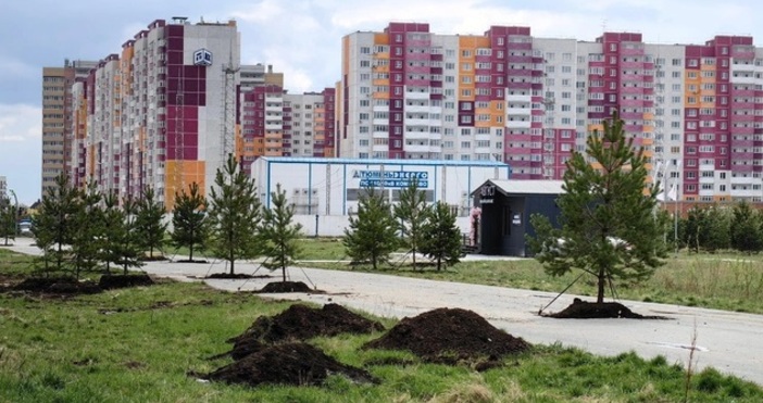 На една от улиците в Тюмен в Русия се появиха засадени