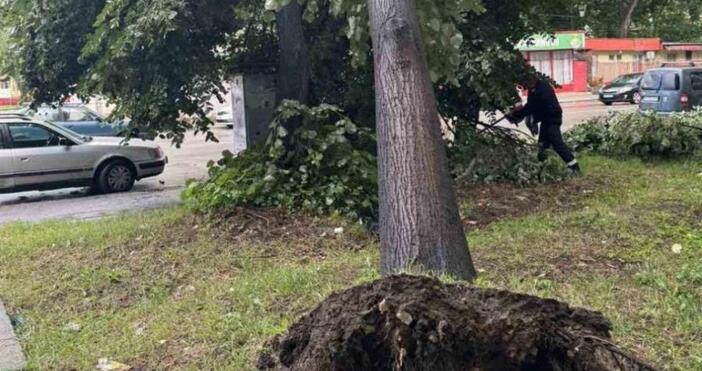 В резултат на разразилата се буря след 17 00 часа е