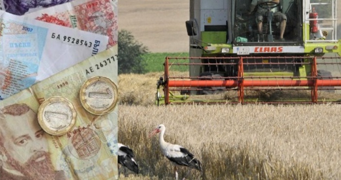 Ясни са прогнозите за реколтата тази година което пряко касае