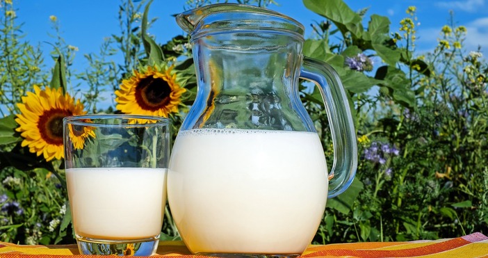 Рязък скок в производството на имитиращи млечни продукти  у нас