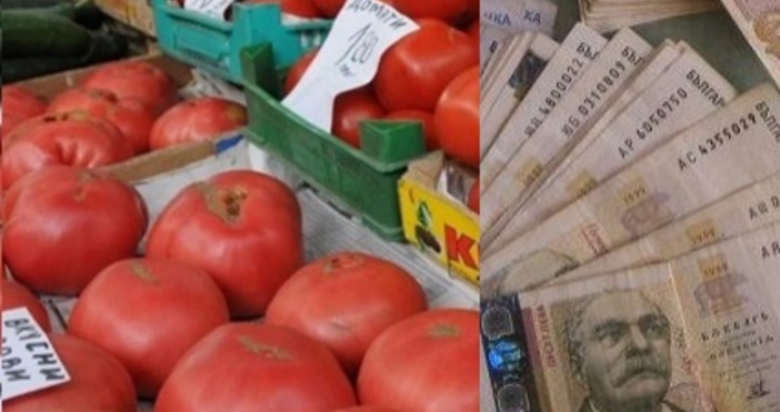 Във време на масова беритба цената на доматите в Санданско