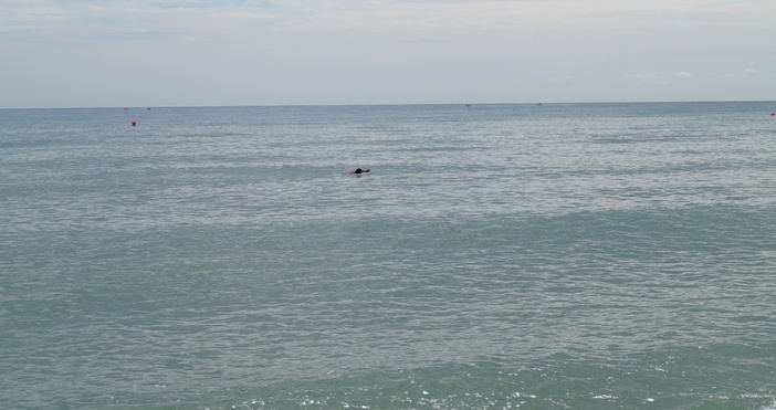 БулфотДа се ограничи къпането в морето край плажовете Кранево централен Албена