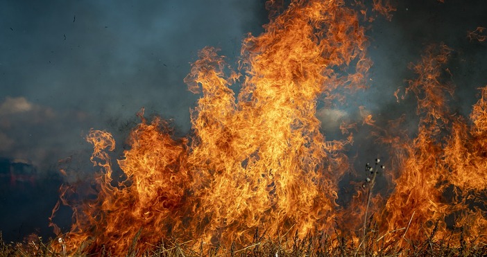 Високи глоби и арести за причинителите на пожари в Гърция