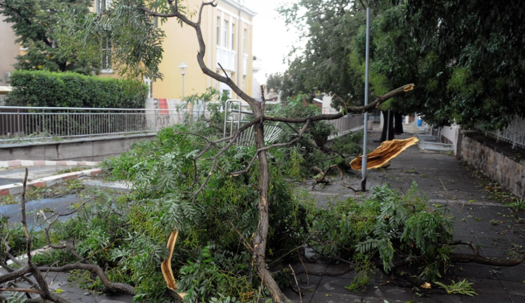 Буря нанесе щети във Видинско
