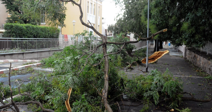 Опасно време край голям град в Северна България.Буря с пороен