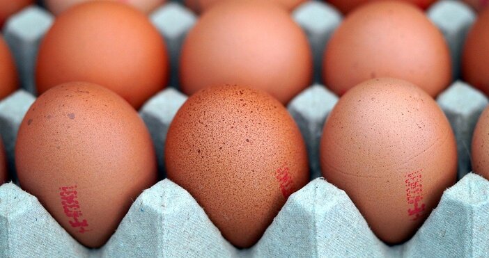 Публикациите за проверката на КЗК за цените на яйцата в