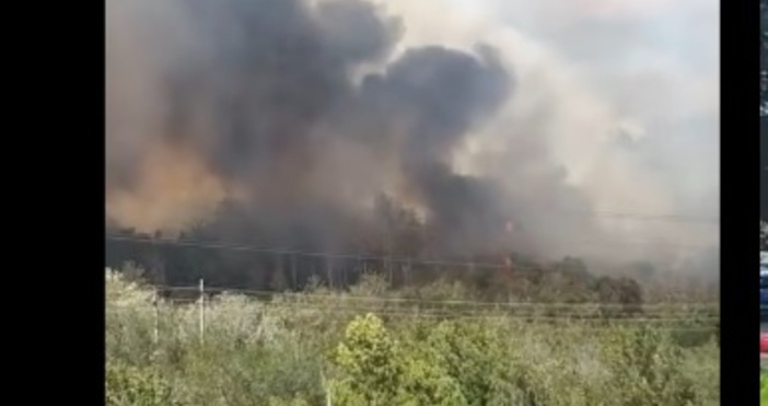 Пожарите във Варна се разрастват Във фейсбук се появиха призиви