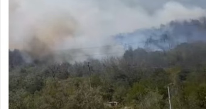 Пожар е възникнал и в гората над кв Владислав Варненчик