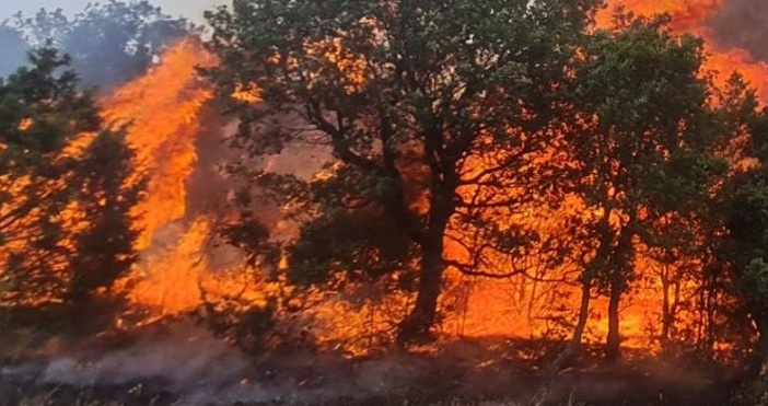 Пожар в Гърция приближава границата ни – огънят вече е