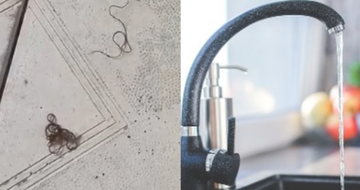 Стана ясно че от чешмите в село край Свищов тече