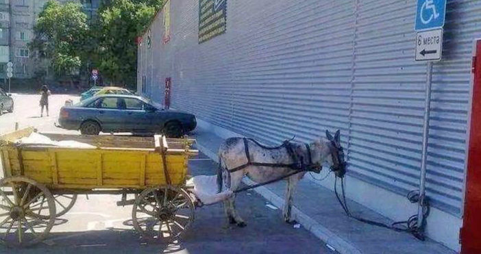 Странно за градски условия превозно средство засече варненец на паркинг