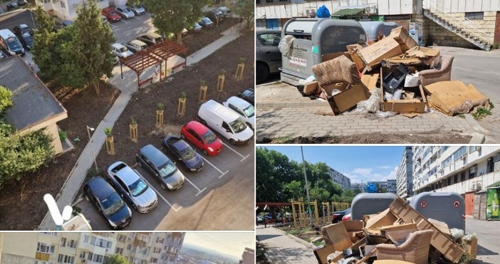 Неприятна гледка в квартал от Варна Улицата е асфалтирана засадени са