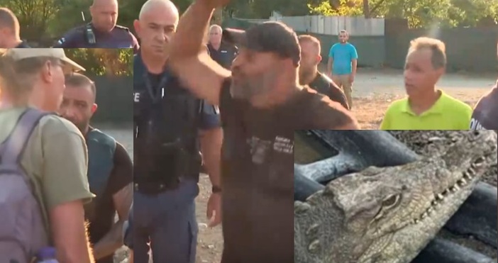 По рано през деня ви съобщихме че е открит крокодил  отглеждан в дупка в