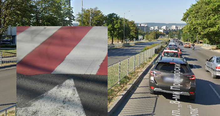 Бояна Димитрова отправи отворено писмо до кмета Благомир Коцев и