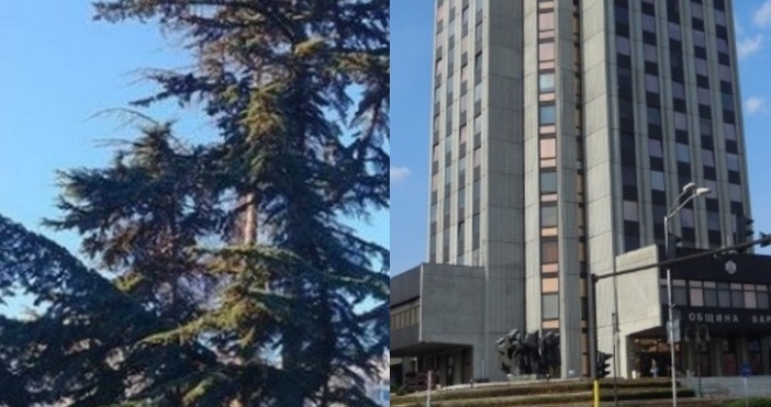 снимки Нели Иванова ФейсбукОбщина Варна внася сигнал с искане за