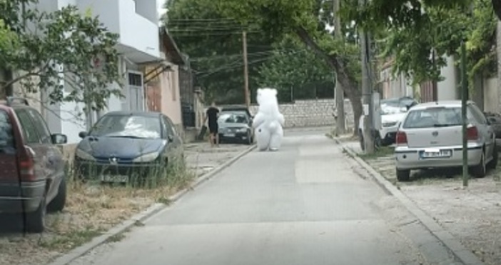 Тези дни България бе шокирана от новината че в Ботунец