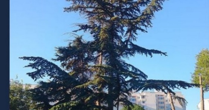 Варненци време е Да се съюзим и да защитим и