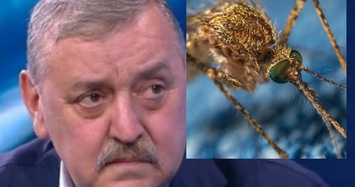 Професор Кантарджиев даде обяснение за нашумелите напоследък вируси нипа и