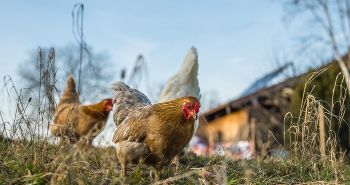 Европейската прокуратурата в България съобщи цитирана от Лекс че е