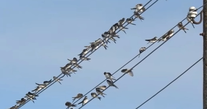 Отпускарският сезон и жегите са в разгара си Някои обаче се