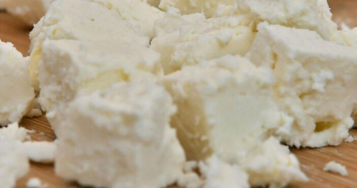 Около 6 400 тона фалшиво сирене са ни продали мандрите за