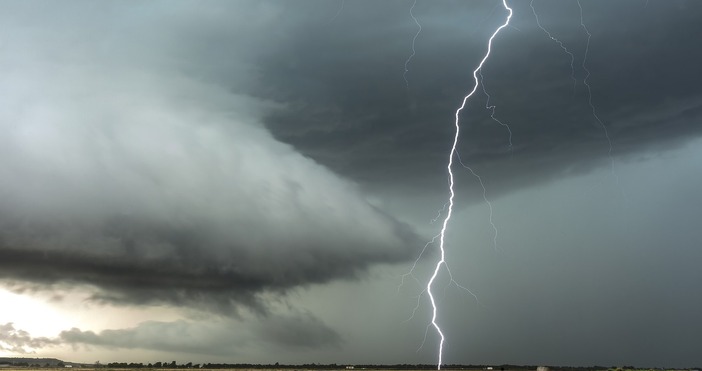 Пожар в иглолистна гора край село Барутин община Доспат причинен