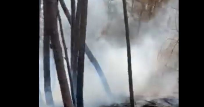 Над 50 служители на териториални поделения на ЮЗДП гасят пожар