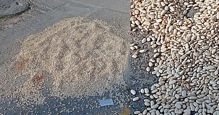 Магически ритуал се е провел във Варна Неизвестни са хвърлили