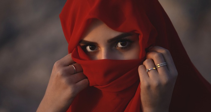 Шофьорите трябва да гарантират пълна видимост зад воланаВърховният административен съд