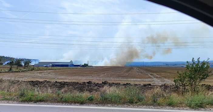 За нов пожар край Варна съобщиха очевидци във фейсбук групата