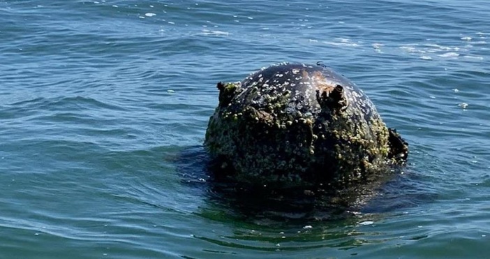 Морска мина тежаща 190 кг бе извадена от водолази от