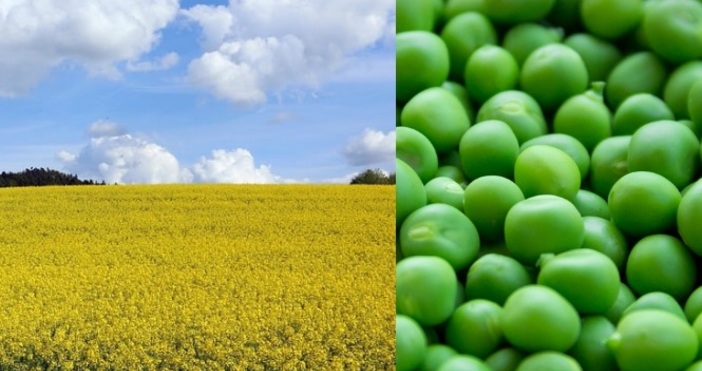 Няма грам влага тъй като през лятото не валя никакъв