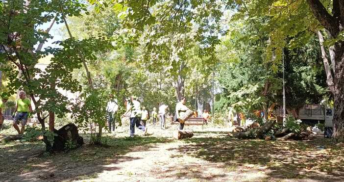 Десетки служители на озеленяването във Варна ударно чистят и подрязват мястото