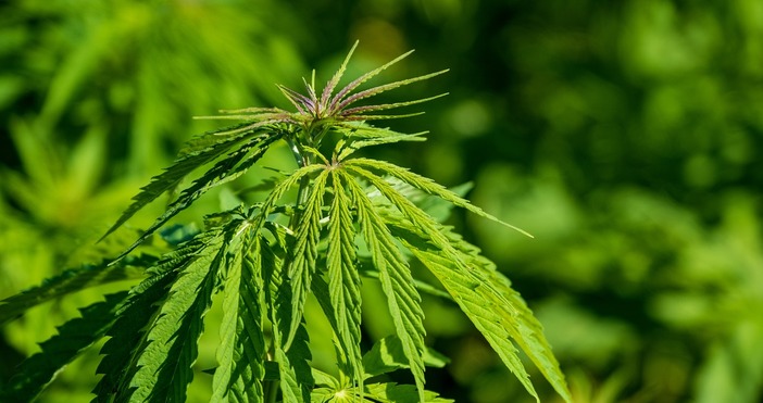 Мъж на 56 години е задържан за 24 часа от