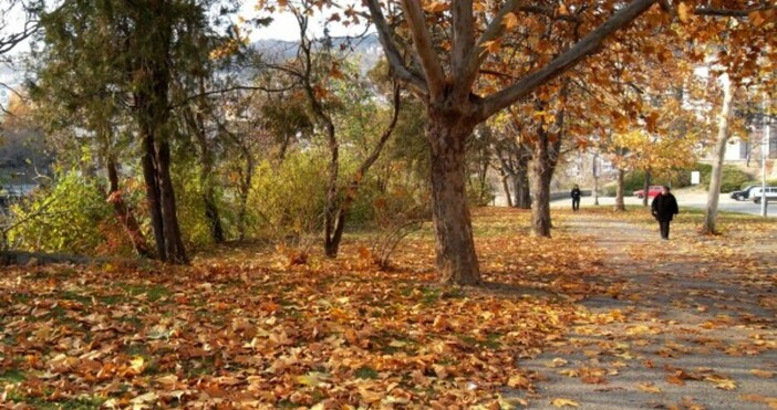 Максималните температури ще бъдат между 29° и 34° в София