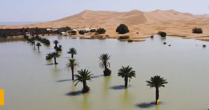 Редки порои са образували сини лагуни сред палмите и пясъчните