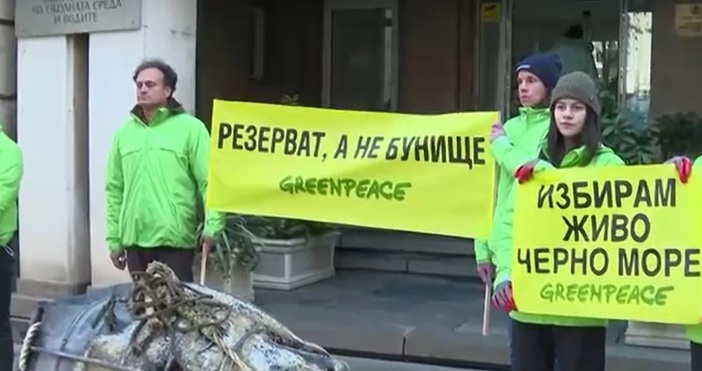 В Международния ден на Черно море екоорганизацията Грийнпийс – България