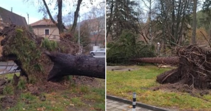 За съжаление се оправдаха прогнозите за ураганни ветрове в България