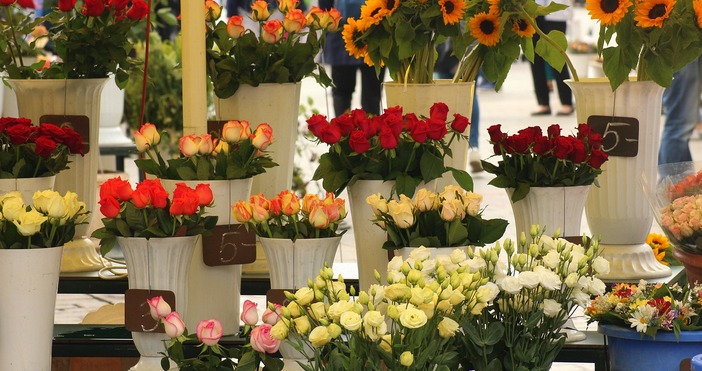 Пазарът за цветя на бул Чаталджа ще бъде преместен най вероятно