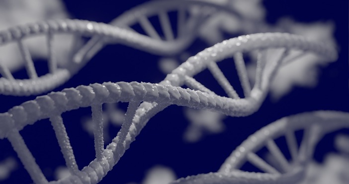 Британски учени са съхранили пълния човешки геном върху кристална 5D