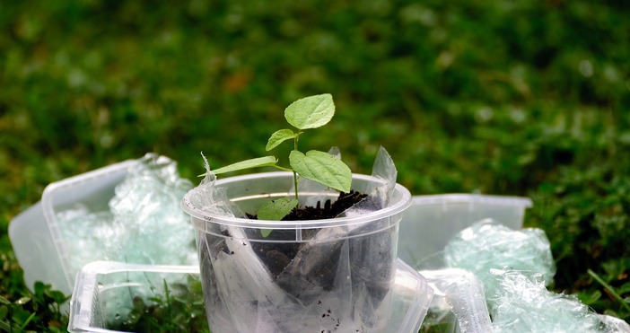 От днес 1 януари кутиите за насипна храна ще