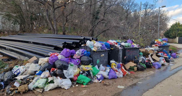 Шарена гледка във вилно селище до Варна показаха граждани в