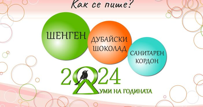 Най знаковата дума за България през изминалата 2024 година е