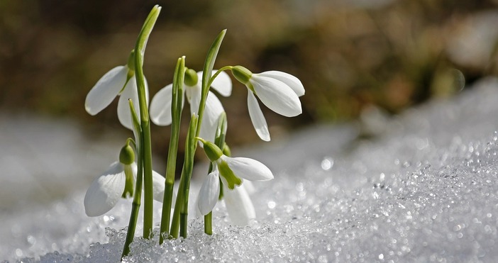 Кадри на рядък природен феномен споделиха от MeteoBulgaria Става въпрос