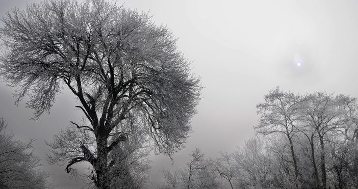 Намалена е видимостта поради мъгла до 50 м в района