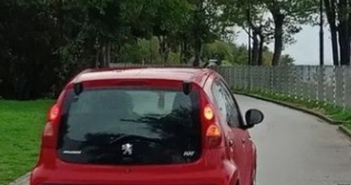 Сигнал до прокуратурата и до комисията за конфликт на интереси