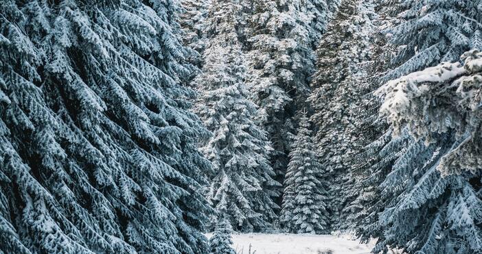 ПекселПрез следващото денонощие ще бъде облачно В Североизточна България ще