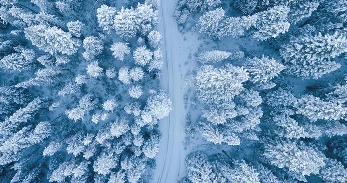 ПекселсМетеоролозите очакват значителни валежи от сняг за областите Плевен